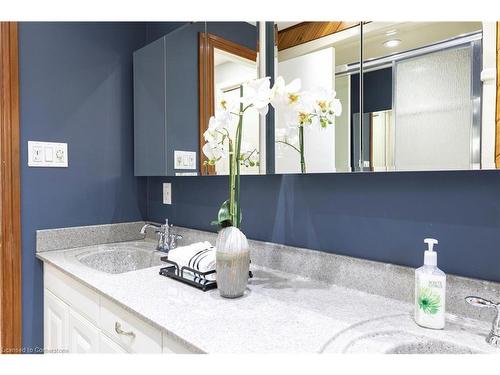 32 Audubon Street S, Stoney Creek, ON - Indoor Photo Showing Bathroom