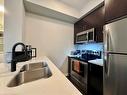 308-81 Robinson Street, Hamilton, ON  - Indoor Photo Showing Kitchen With Double Sink 