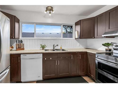 787 Upper Ottawa Street, Hamilton, ON - Indoor Photo Showing Kitchen With Double Sink