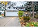 3 San Paulo Drive, Hamilton, ON  - Outdoor 