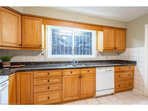 3 San Paulo Drive, Hamilton, ON - Indoor Photo Showing Kitchen With Double Sink