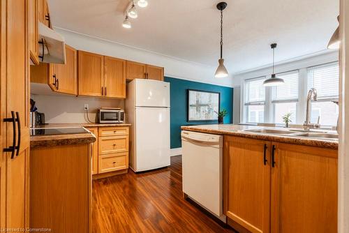 8-9 Rockwood Place, Hamilton, ON - Indoor Photo Showing Kitchen With Double Sink