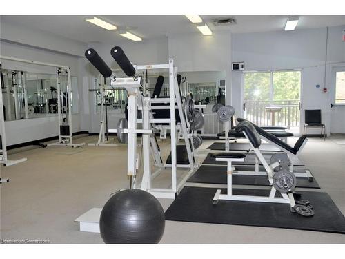 418-57 12Th Conc Road E, Flamborough, ON - Indoor Photo Showing Gym Room