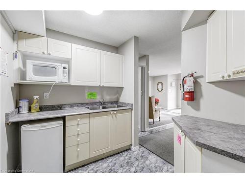 A402-216 Plains Road W, Burlington, ON - Indoor Photo Showing Kitchen With Double Sink