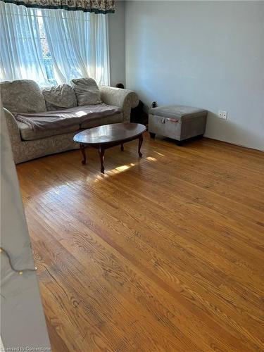 3 Delawana Drive, Hamilton, ON - Indoor Photo Showing Living Room