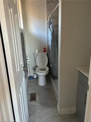 3 Delawana Drive, Hamilton, ON - Indoor Photo Showing Bathroom