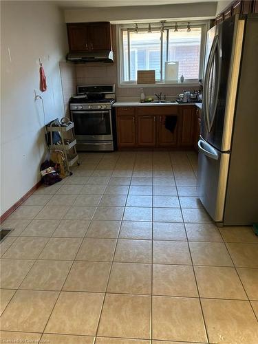 3 Delawana Drive, Hamilton, ON - Indoor Photo Showing Kitchen With Double Sink