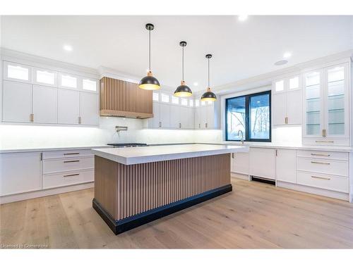 256 Mountain Road, Grimsby, ON - Indoor Photo Showing Kitchen With Upgraded Kitchen