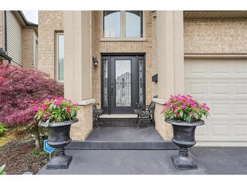 8 Felicia Court, Hamilton, ON - Outdoor