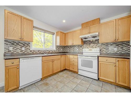 109 Wills Crescent, Hamilton, ON - Indoor Photo Showing Kitchen With Double Sink