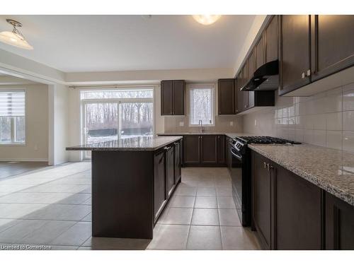 101 Cactus Crescent, Hamilton, ON - Indoor Photo Showing Kitchen