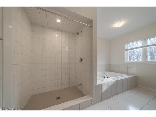 101 Cactus Crescent, Hamilton, ON - Indoor Photo Showing Bathroom