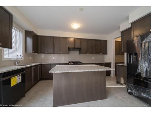 101 Cactus Crescent, Hamilton, ON - Indoor Photo Showing Kitchen