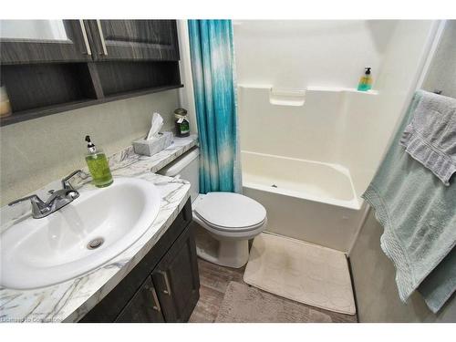 316-673 Brant-Waterloo Road, Ayr, ON - Indoor Photo Showing Bathroom