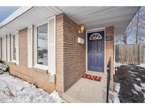 77 Cranbrook Drive, Hamilton, ON - Outdoor