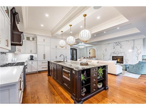 24 Kerr Shaver Terrace, Brantford, ON - Indoor Photo Showing Kitchen With Upgraded Kitchen