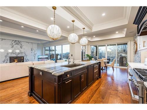 24 Kerr Shaver Terrace, Brantford, ON - Indoor Photo Showing Kitchen With Double Sink With Upgraded Kitchen