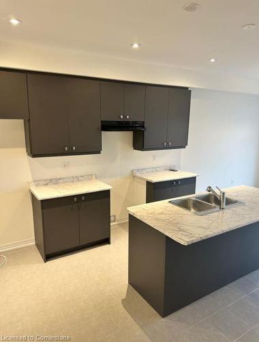 49 Velvet Way, Thorold, ON - Indoor Photo Showing Kitchen With Double Sink