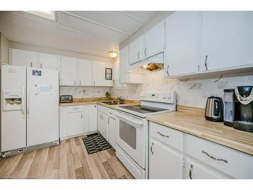 148 Maple Crescent, Flamborough, ON - Indoor Photo Showing Kitchen With Double Sink