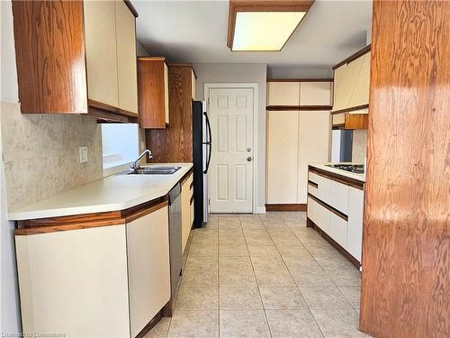 115 Chesley Street, Hamilton, ON - Indoor Photo Showing Kitchen With Double Sink