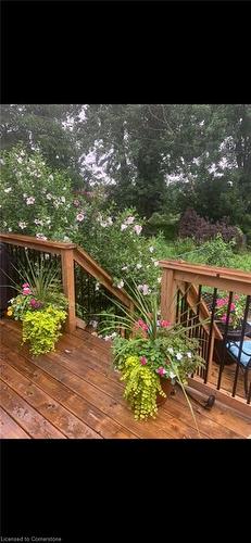 85 Barons Avenue S, Hamilton, ON - Outdoor With Deck Patio Veranda