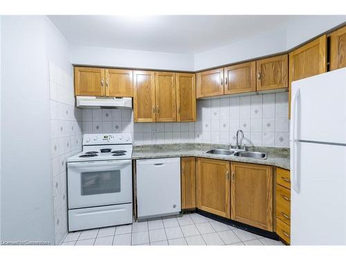 101-175 Hunter Street, Hamilton, ON - Indoor Photo Showing Kitchen With Double Sink