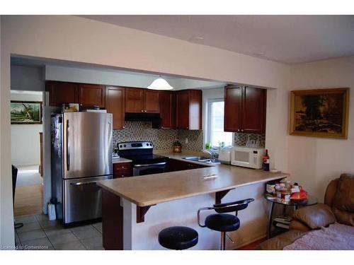 30 Emick Drive, Hamilton, ON - Indoor Photo Showing Kitchen With Double Sink