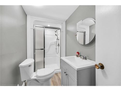 253 Thorner Drive, Hamilton, ON - Indoor Photo Showing Bathroom