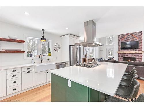 234 Canrobert Street, Eugenia, ON - Indoor Photo Showing Kitchen With Upgraded Kitchen