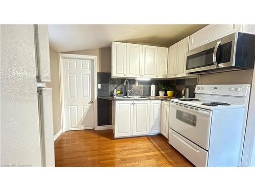 119 Superior Street, Brantford, ON - Indoor Photo Showing Kitchen With Double Sink