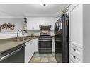 22 Brookheath Lane, Glanbrook, ON  - Indoor Photo Showing Kitchen With Double Sink 