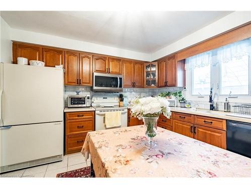 25 Blanche Court, Hamilton, ON - Indoor Photo Showing Kitchen With Double Sink