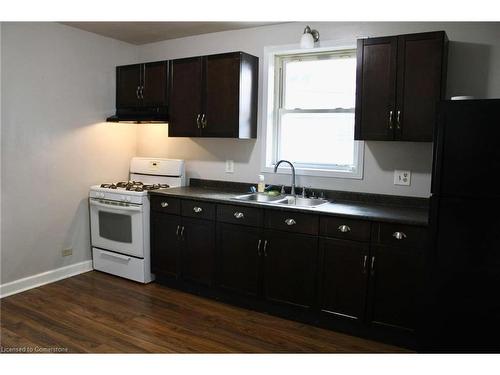 241 Wigton Street, Caledonia, ON - Indoor Photo Showing Kitchen With Double Sink