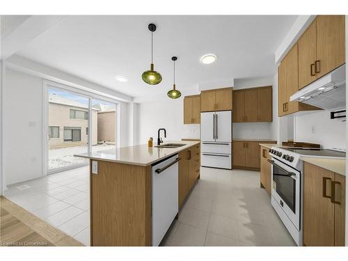 55 Teskey Crescent, Hamilton, ON - Indoor Photo Showing Kitchen With Double Sink