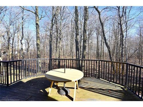 59 Holimont Court, Hamilton, ON - Outdoor With Deck Patio Veranda