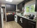 57 Emerson Street, Hamilton, ON  - Indoor Photo Showing Kitchen With Double Sink 