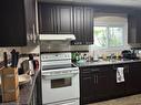 57 Emerson Street, Hamilton, ON  - Indoor Photo Showing Kitchen With Double Sink 