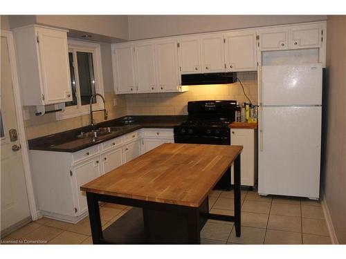 29 Oxford Street, Hamilton, ON - Indoor Photo Showing Kitchen With Double Sink