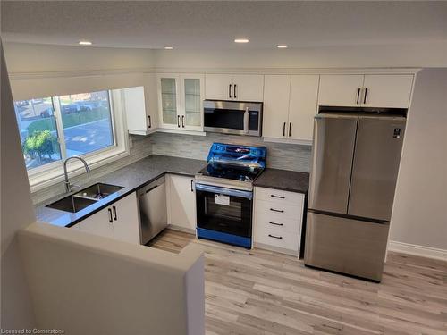 8-125 Bonaventure Drive, Hamilton, ON - Indoor Photo Showing Kitchen With Double Sink