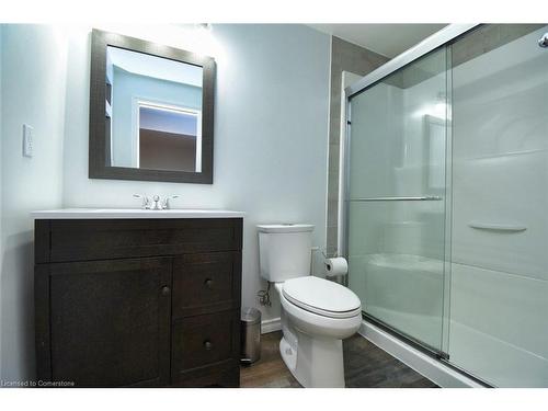 53 Dulgaren Street, Hamilton, ON - Indoor Photo Showing Bathroom