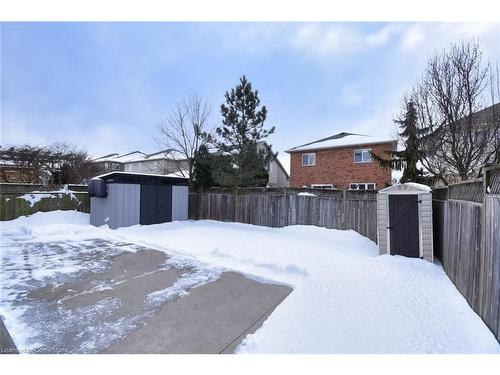 53 Dulgaren Street, Hamilton, ON - Outdoor With Backyard