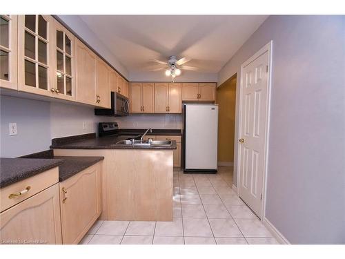 151 Dicenzo Drive, Hamilton, ON - Indoor Photo Showing Kitchen With Double Sink