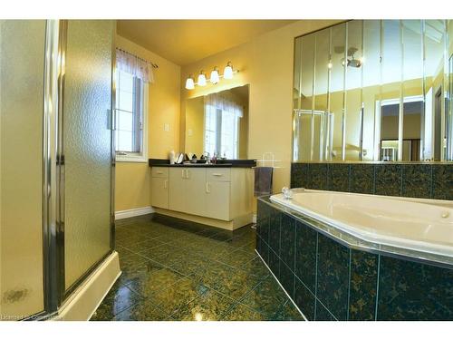 151 Dicenzo Drive, Hamilton, ON - Indoor Photo Showing Bathroom