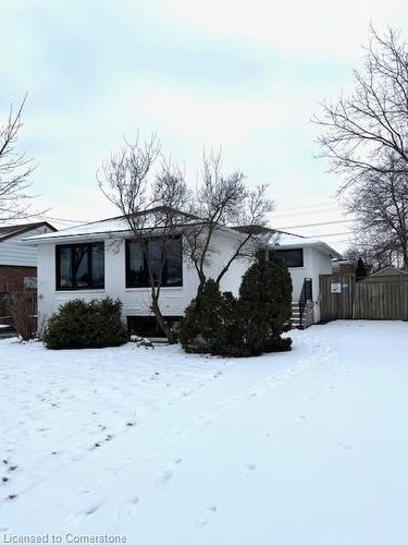 145 Winchester Boulevard, Hamilton, ON - Outdoor