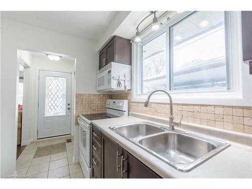 117 Anna Capri Drive, Hamilton, ON - Indoor Photo Showing Kitchen With Double Sink