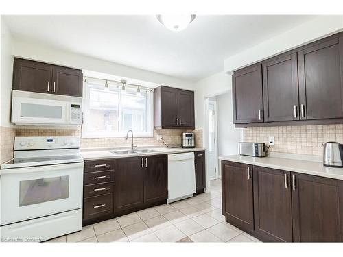 117 Anna Capri Drive, Hamilton, ON - Indoor Photo Showing Kitchen With Double Sink