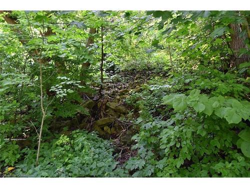 628 Mill Street, Ancaster, ON 