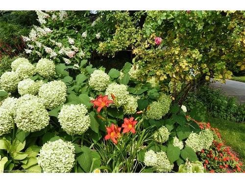 4131 Lorraine Crescent, Burlington, ON - Outdoor