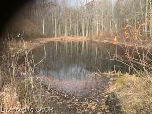 764 Forestry Road, Simcoe, ON 