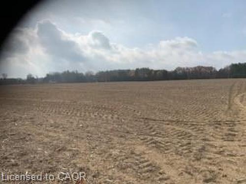 764 Forestry Road, Simcoe, ON 